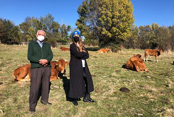 Aquí la Tierra - Las vacas de El Berrueco tienen nombre propio