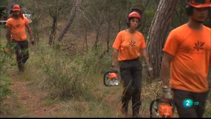 La Metro - Gestió forestal, eina d'inclusió i Castanyada confinada