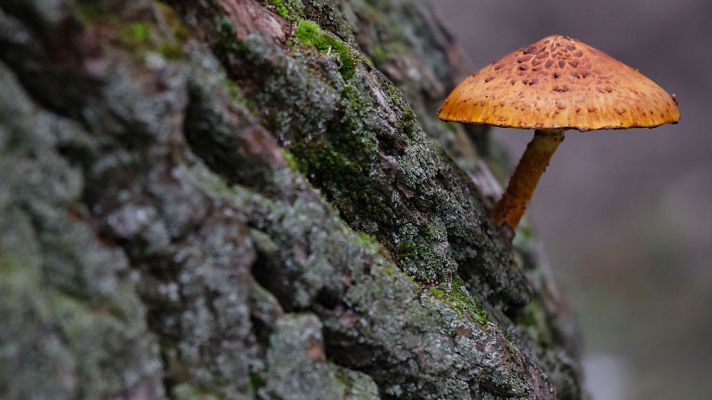 El tiempo - Predominan los cielos despejados y las altas temperaturas