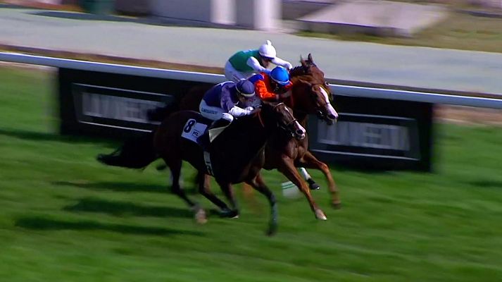 Hípica - Carreras de caballos. Desde el hipódromo de La Zarzuela