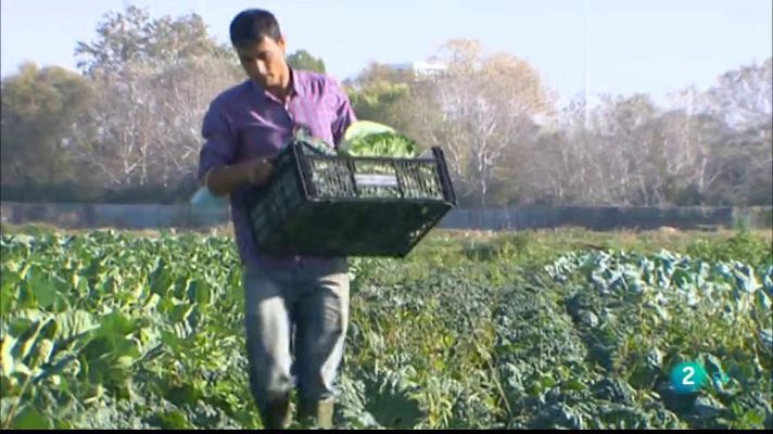 La Metro - Parc Agrari del Llobregat i la Cervesa més antiga d'Europa