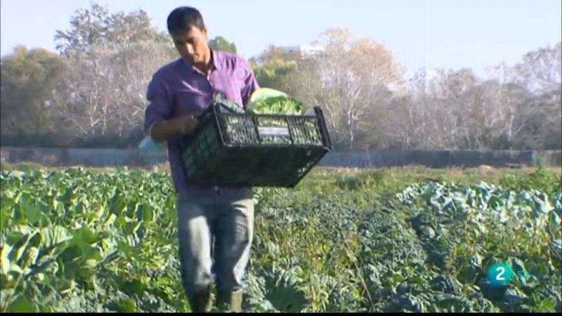 La Metro - Parc Agrari del Llobregat i la Cervesa més antiga d'Europa