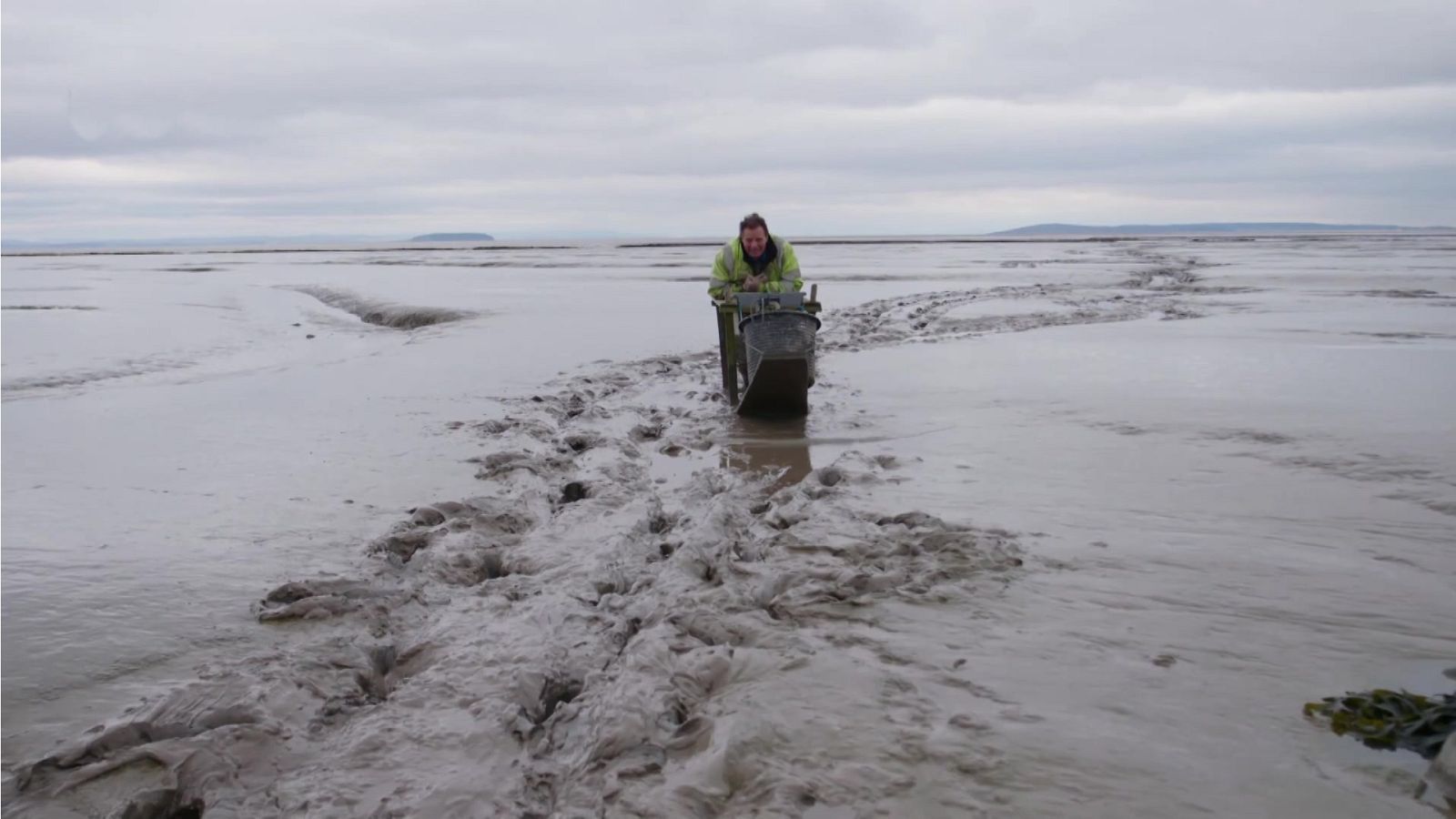 Documenta2 - Marea: Aprovechando la marea - ver ahora