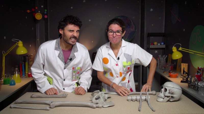 Aprendemos en Clan - El esqueleto humano - RTVE.es - Aprendemos en Clan | Ver