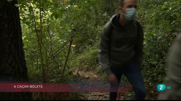 La Metro - Caçar bolets i roba de lloguer