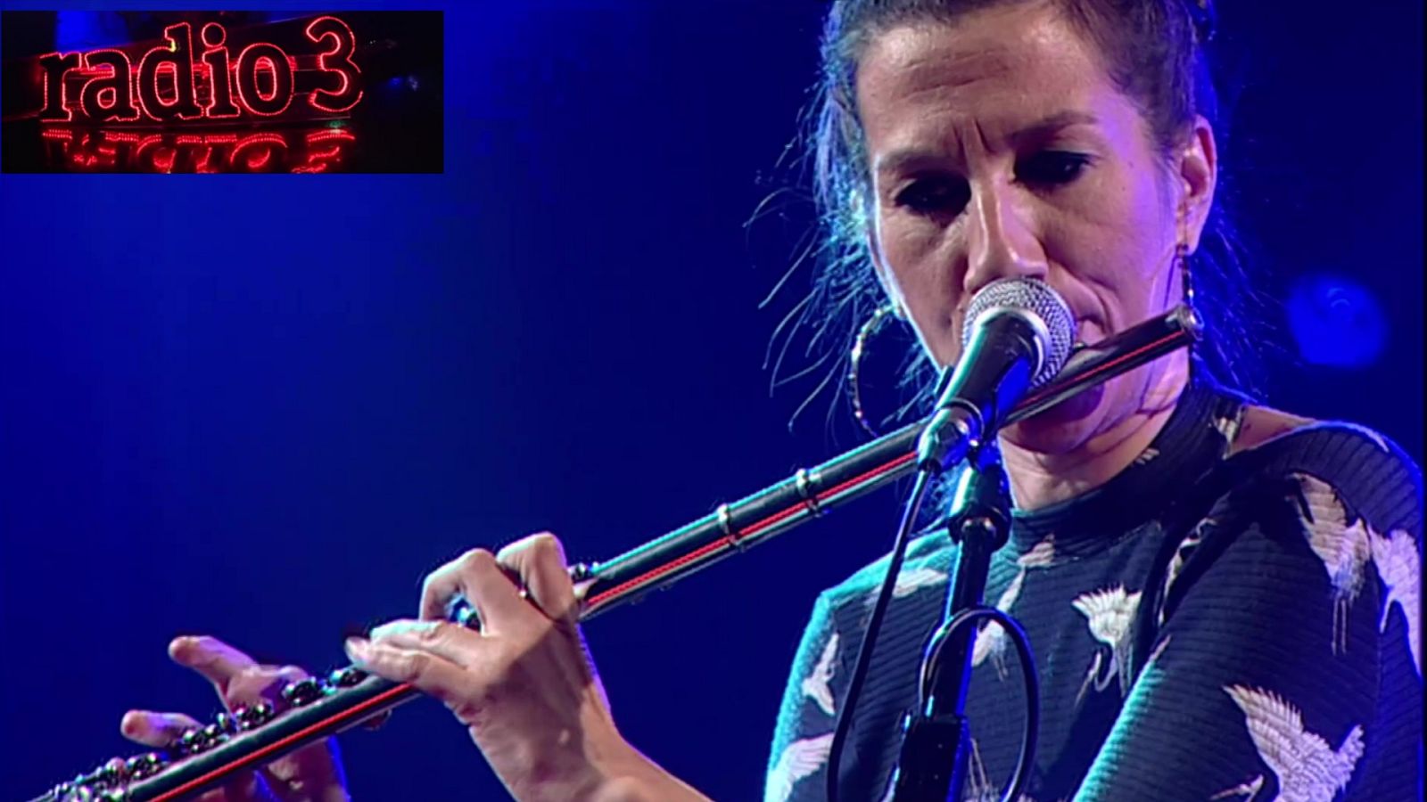 Los conciertos de Radio 3 - María Toro - ver ahora