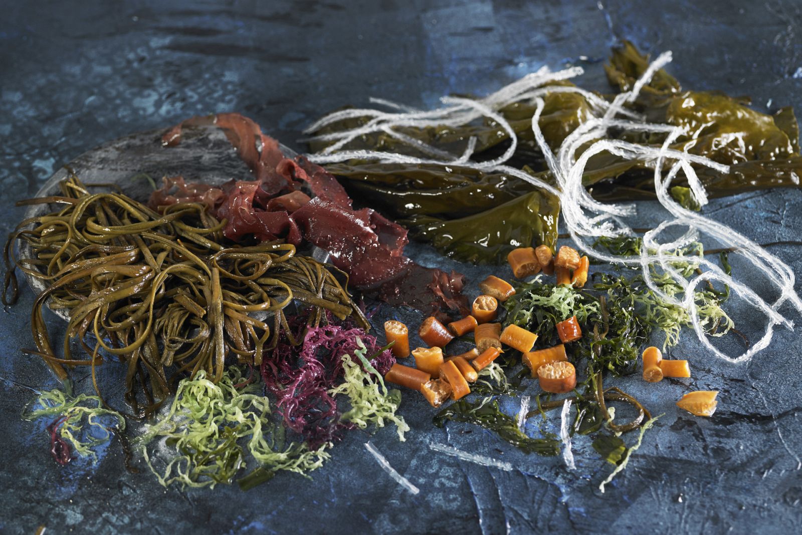 Aquí la Tierra - ¡Algas! Un mundo vegetal que va desde el mar... hasta nuestro plato