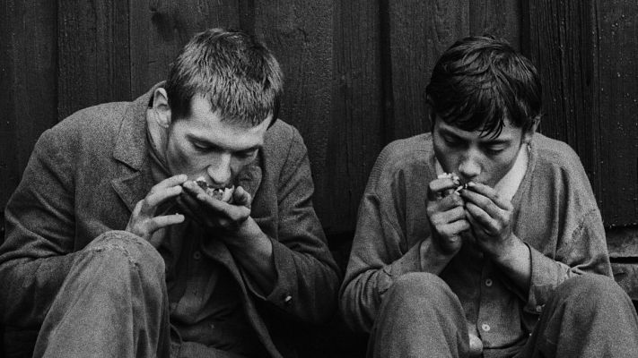 Días de cine - La secuencia de Agnieszka Holland: 'Diamantes de la noche'