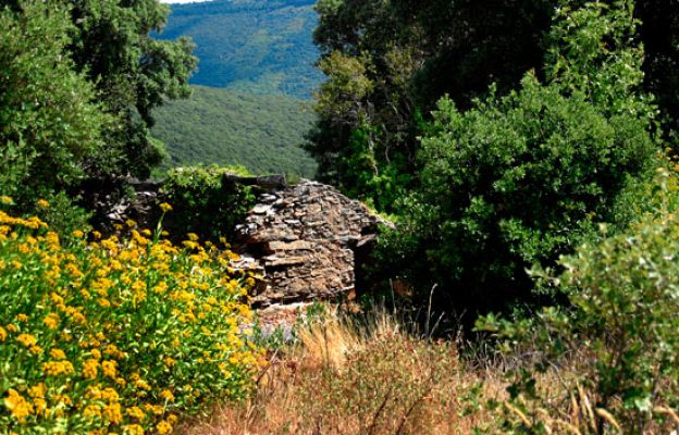  - Siete zulos de ETA en tres días