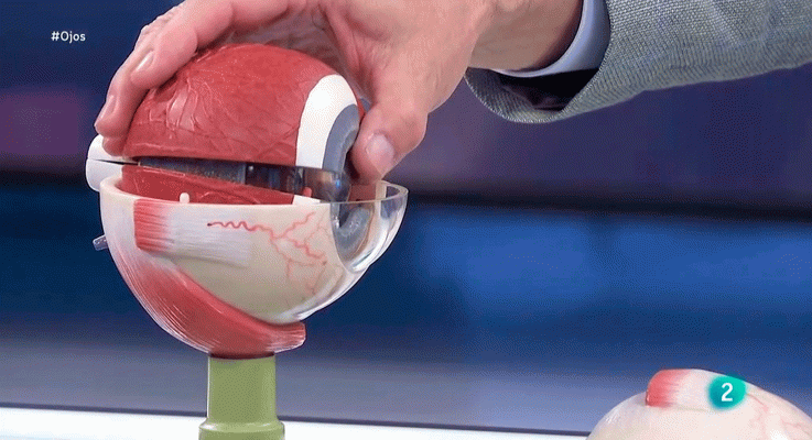 La aventura del Saber - Oftalmólogía, el impacto de la covid-19