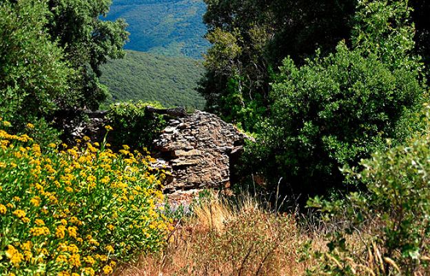  - Sigue abierta la operación policial contra ETA en Francia