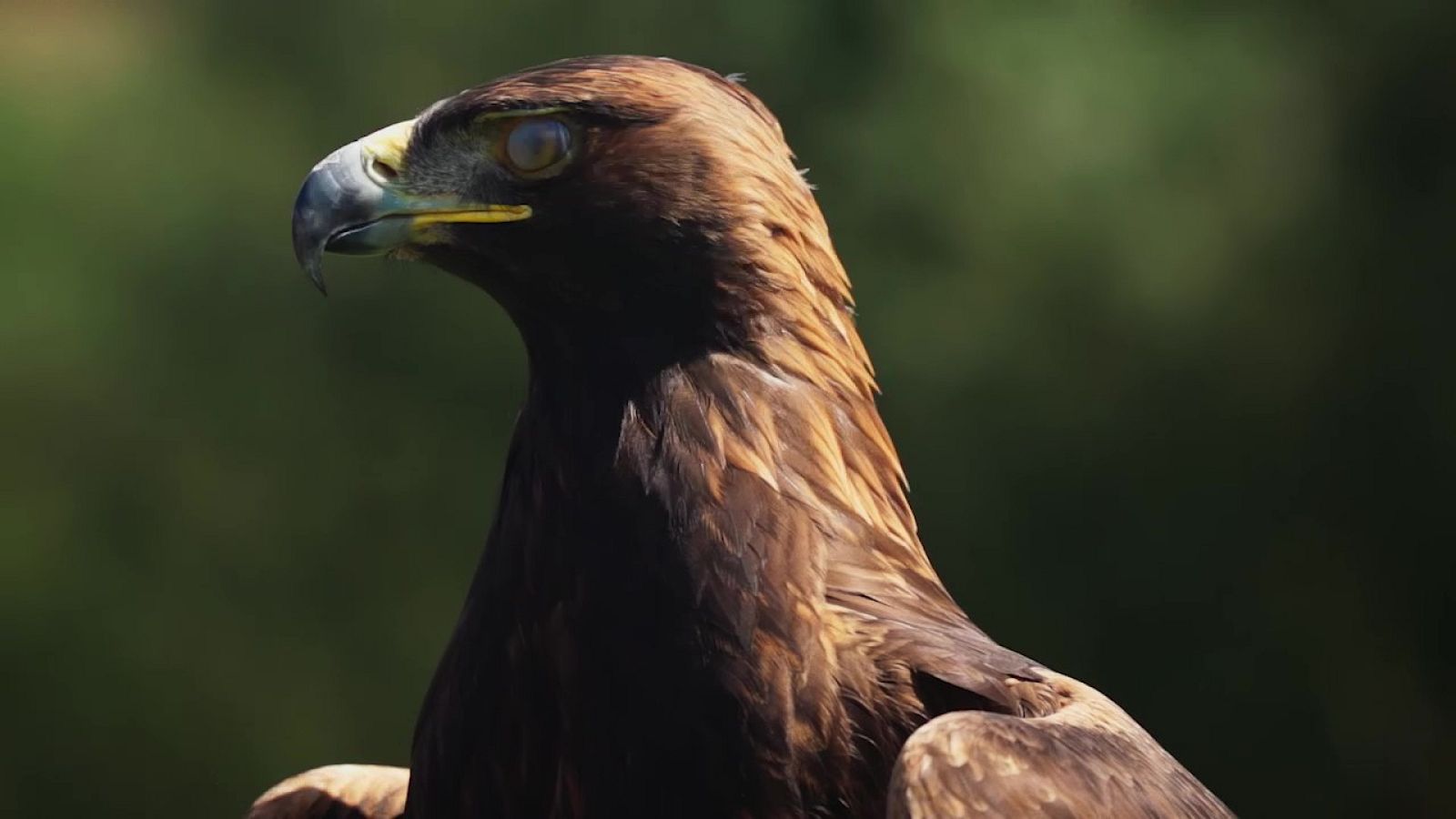Aquí la Tierra - 09/11/20 - ver ahora