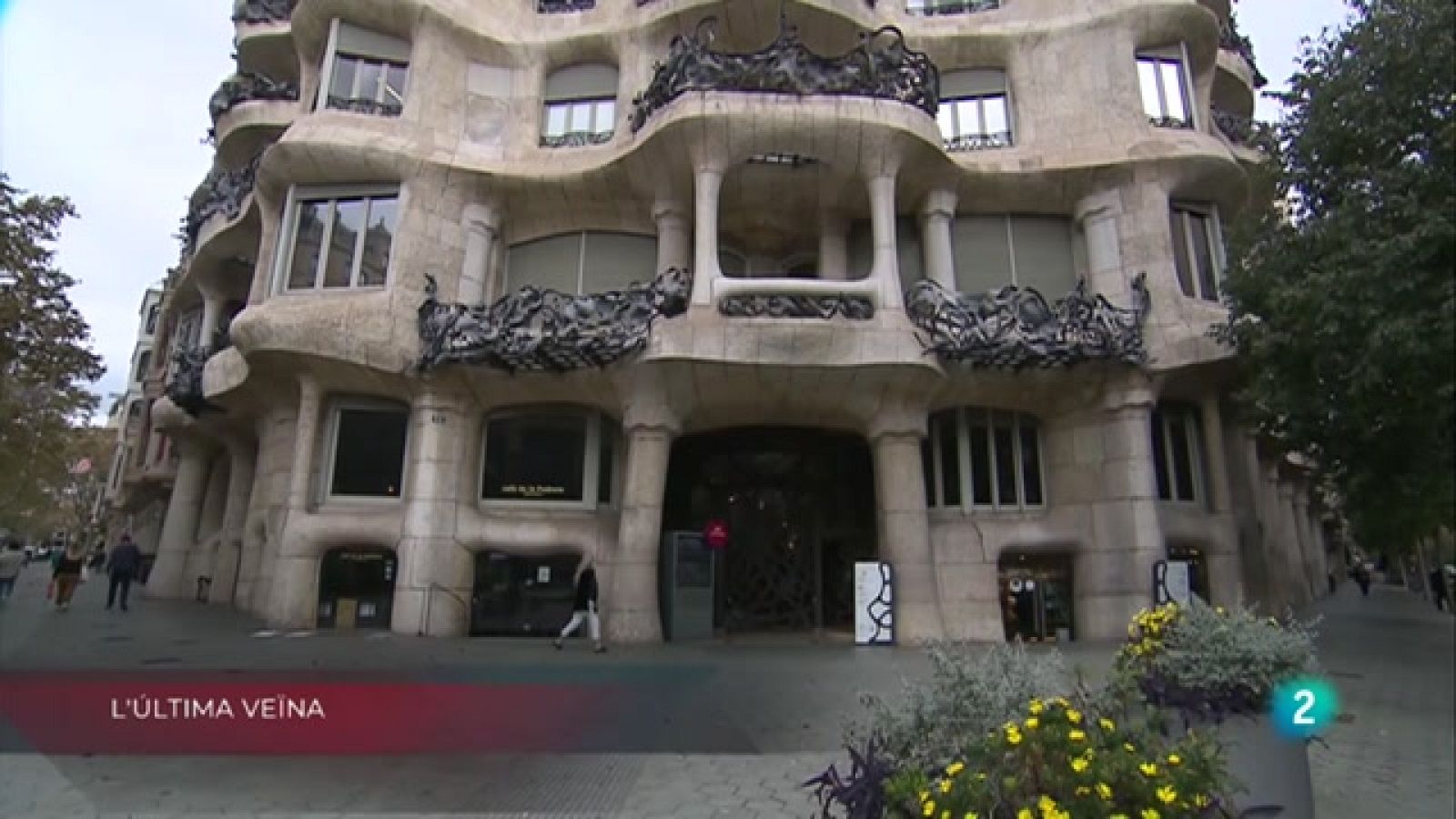 L'última veïna de la Pedrera, Joguines sense gènere i Fundació Èxit a La Metro