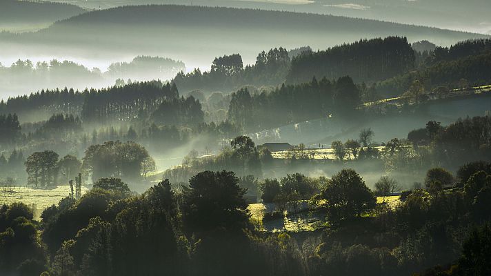El tiempo - Nieblas extensas en la Meseta, Galicia y depresiones del nordeste, con posibilidad de ser localmente persistentes en la meseta Norte y Extremadura