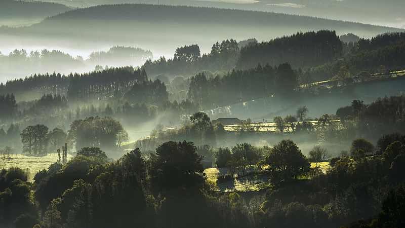 Nieblas extensas en la Meseta, Galicia y depresiones del nordeste, con posibilidad de ser localmente persistentes en l