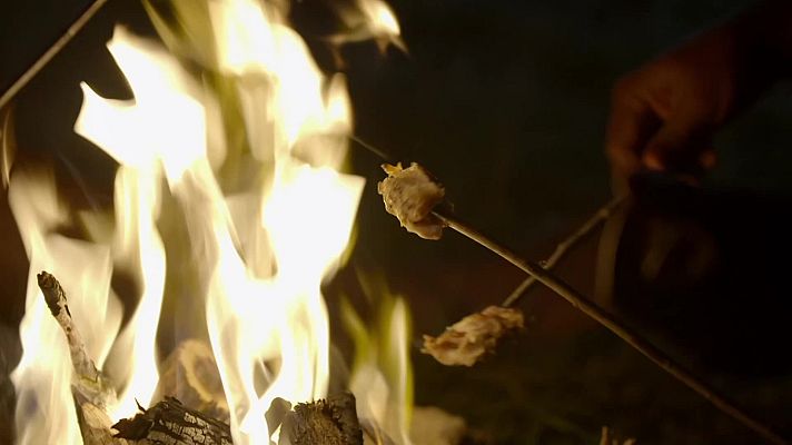 Somos Documentales - Momentos mágicos de la Edad de Piedra