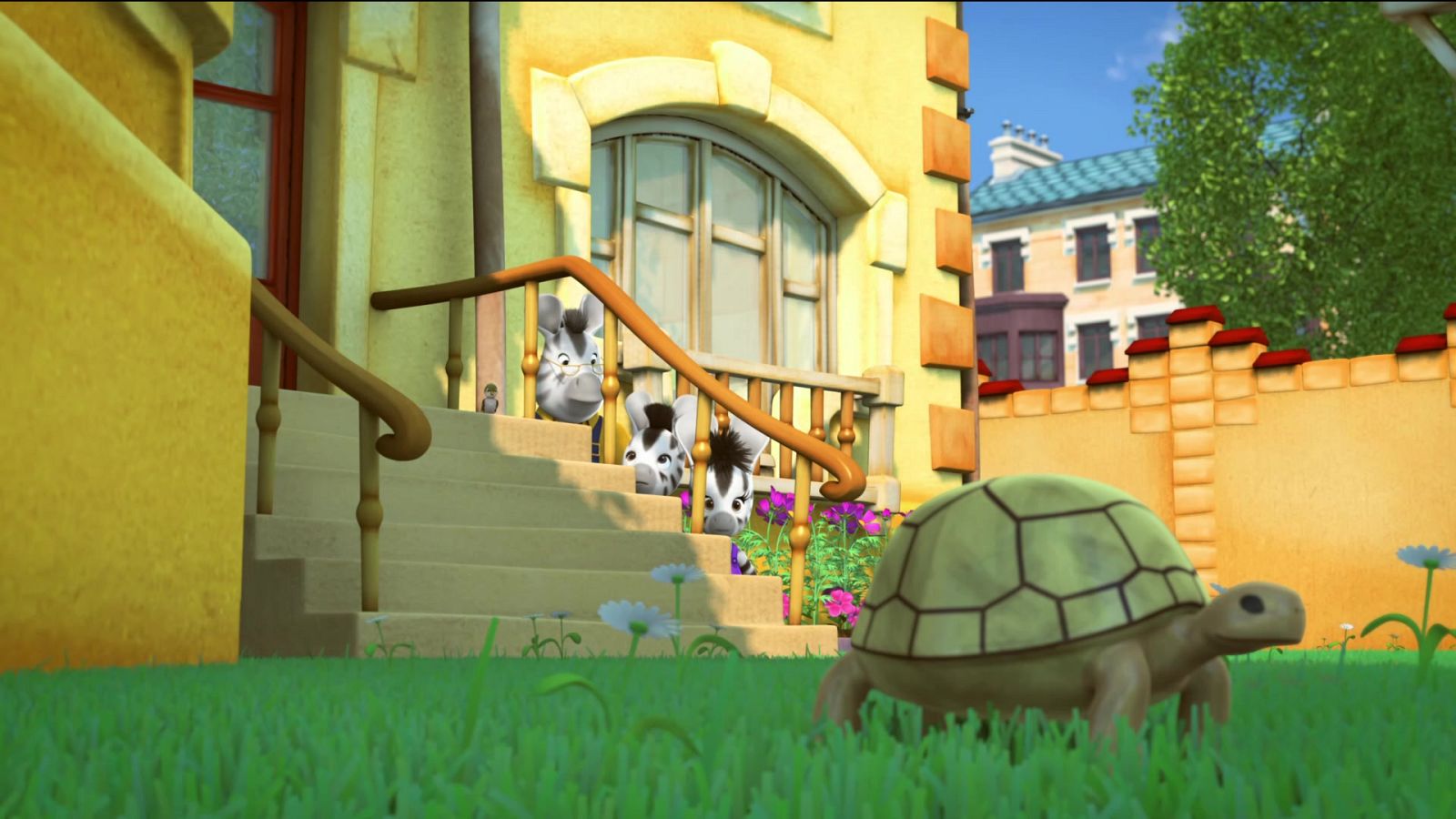 ZOU T-3 EP-152  HD ZOU Y LA TORTuga 121120