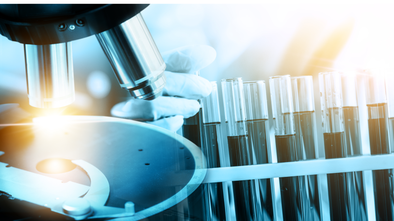 FECYT | Piezas con Memoria