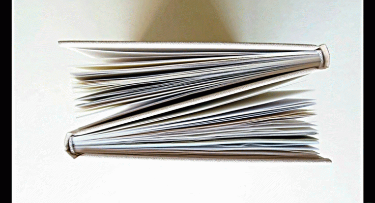 La aventura del Saber - Boek visual: Mercè Soler