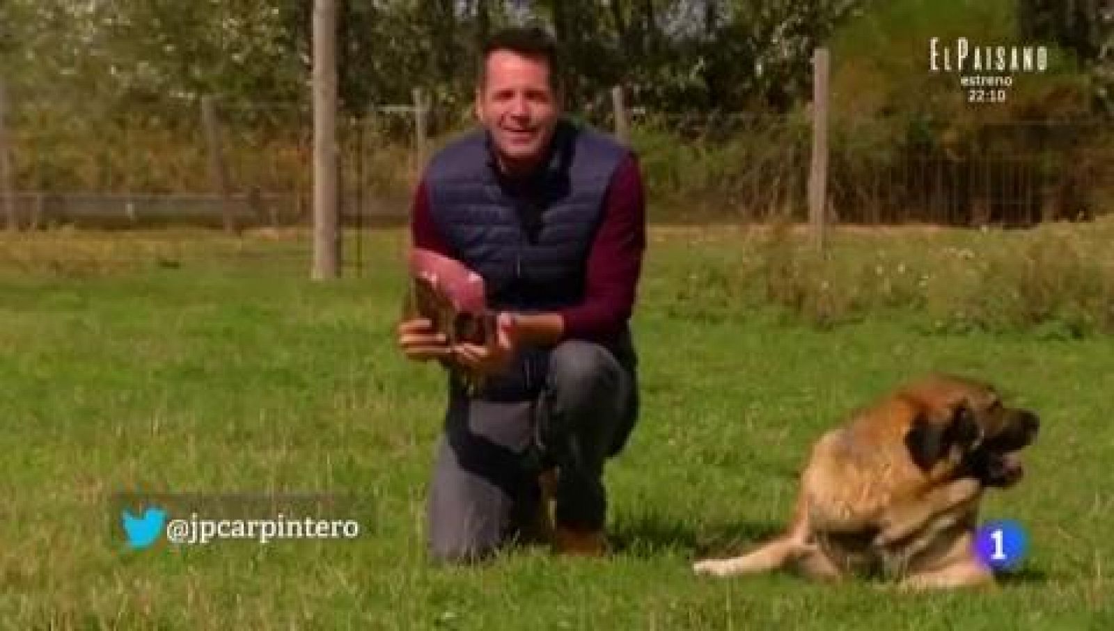 Aquí la Tierra - Cachopo de búfalo con cecina del mismo animal