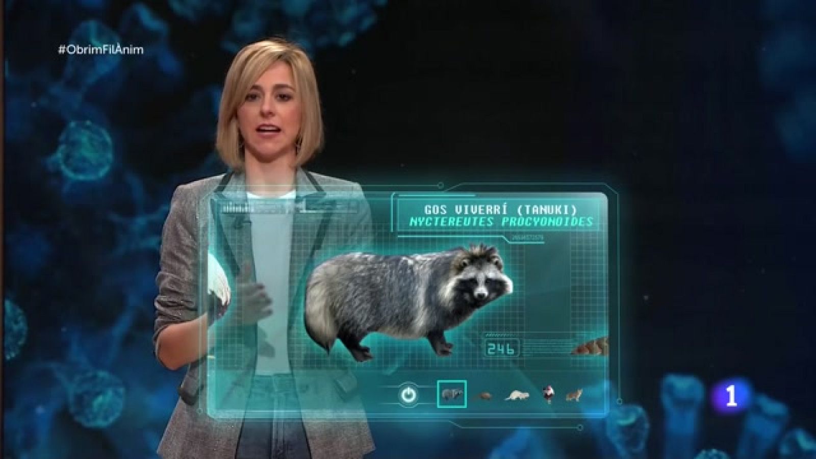 Obrim fil - Quins animals encomanen el coronavirus?