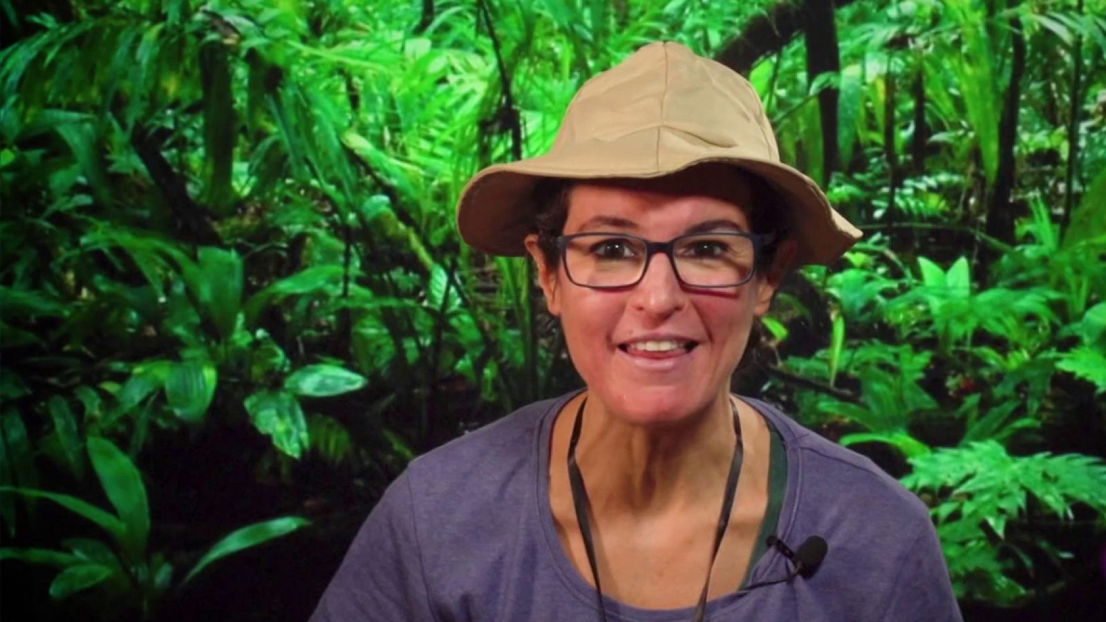 Aprendemos en Clan - Una selva muy salvaje - RTVE.es - Aprendemos en Clan | Ver