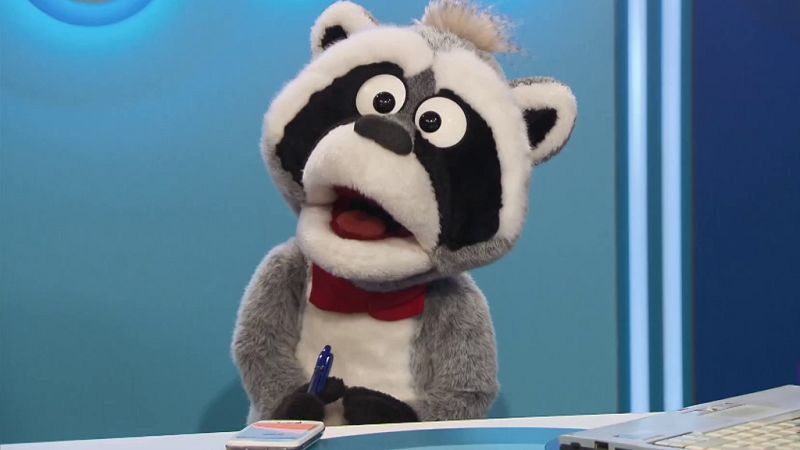 Aprendemos en Clan - 'Esta mapachando'...El mapache más limpio del mundo y mucho más - RTVE.es - Aprendemos en Clan | Ver