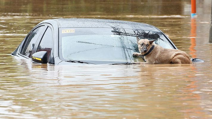 Telediario 1 - Al menos 30 personas han fallecido en Filipinas por 'Vamco'