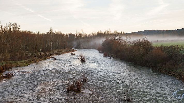 El tiempo - Probables nieblas matinales extensas en la depresión del Ebro, cuenca del Duero e interior del sudeste peninsular, sin descartar que localmente sean persistentes