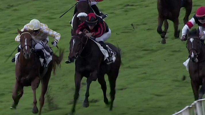 Hípica - Carreras de caballos. Hipódromo de San Sebastián