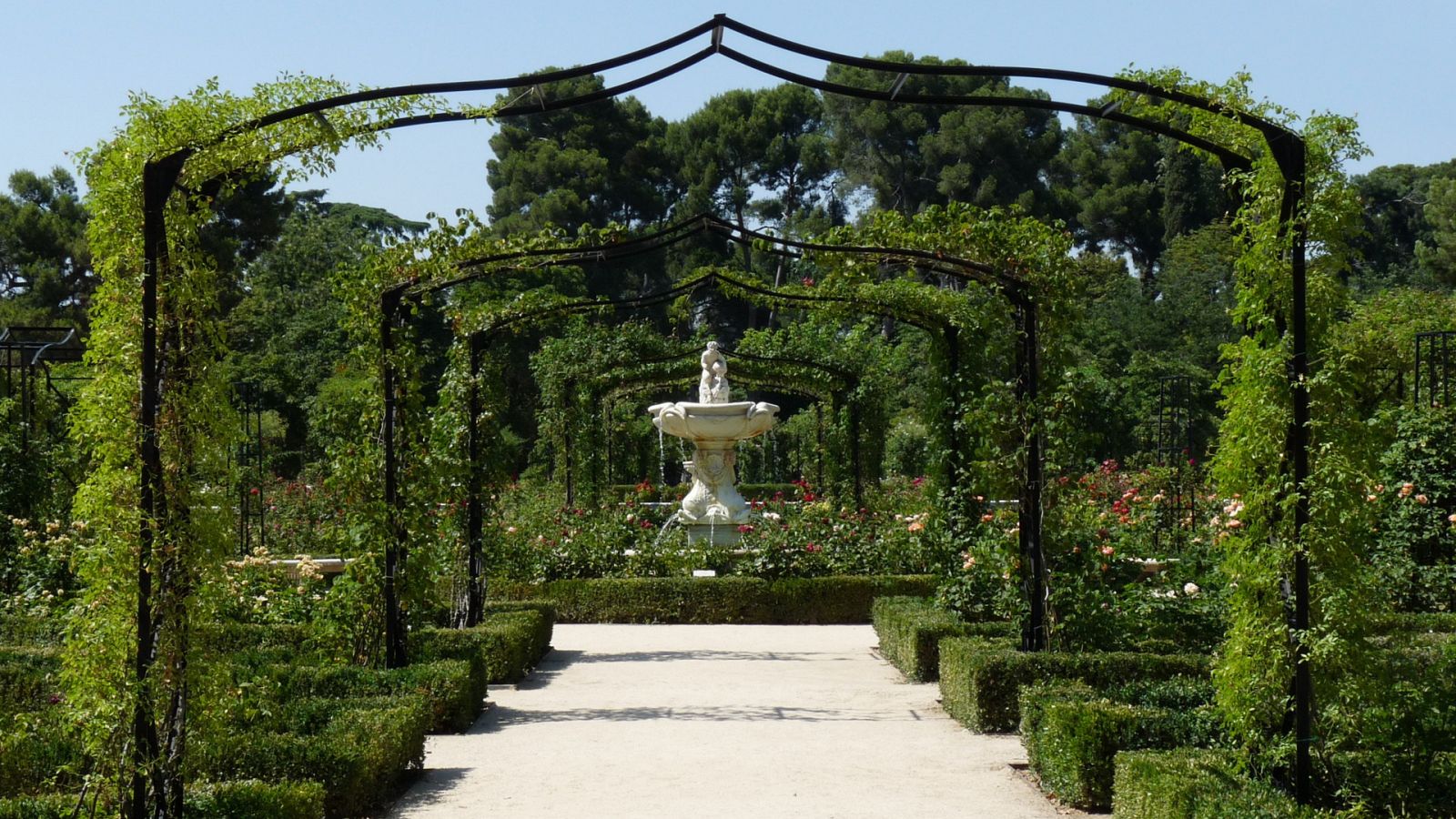 España Directo - 13/11/20 - ver ahora