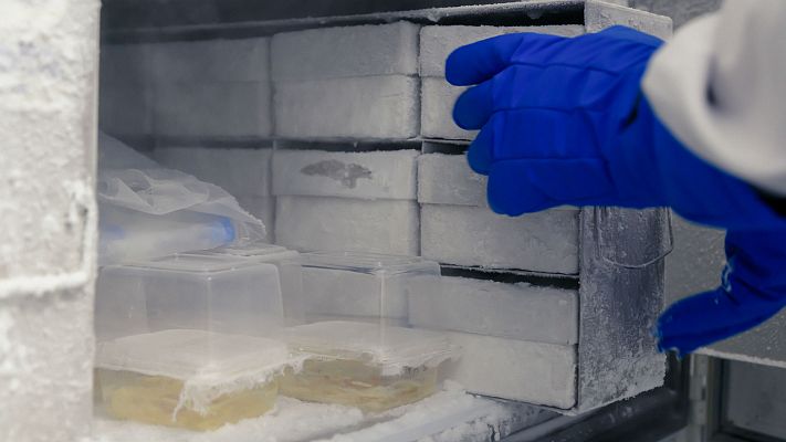 Telediario 1 - Ultracongeladores vascos para almacenar la vacuna