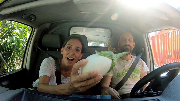 Reduce tu huella - Plantar el futuro