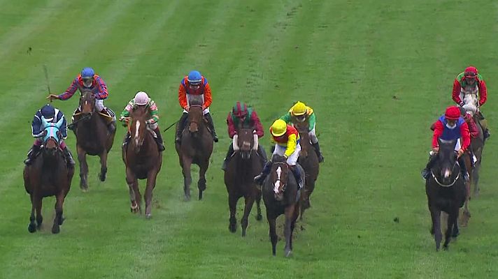 Hípica - Carreras de caballos. Hipódromo de La Zarzuela (Madrid)