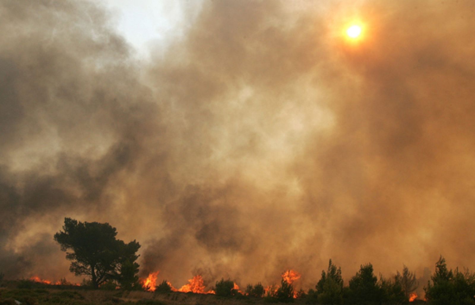 El TD1 en cuatro minutos (24/08/09)