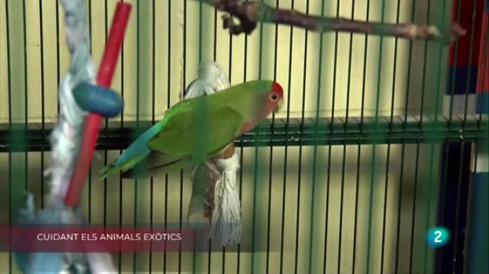 La Metro - Cuidant animals exòtics, Educant l'olfacte i Petit comerç