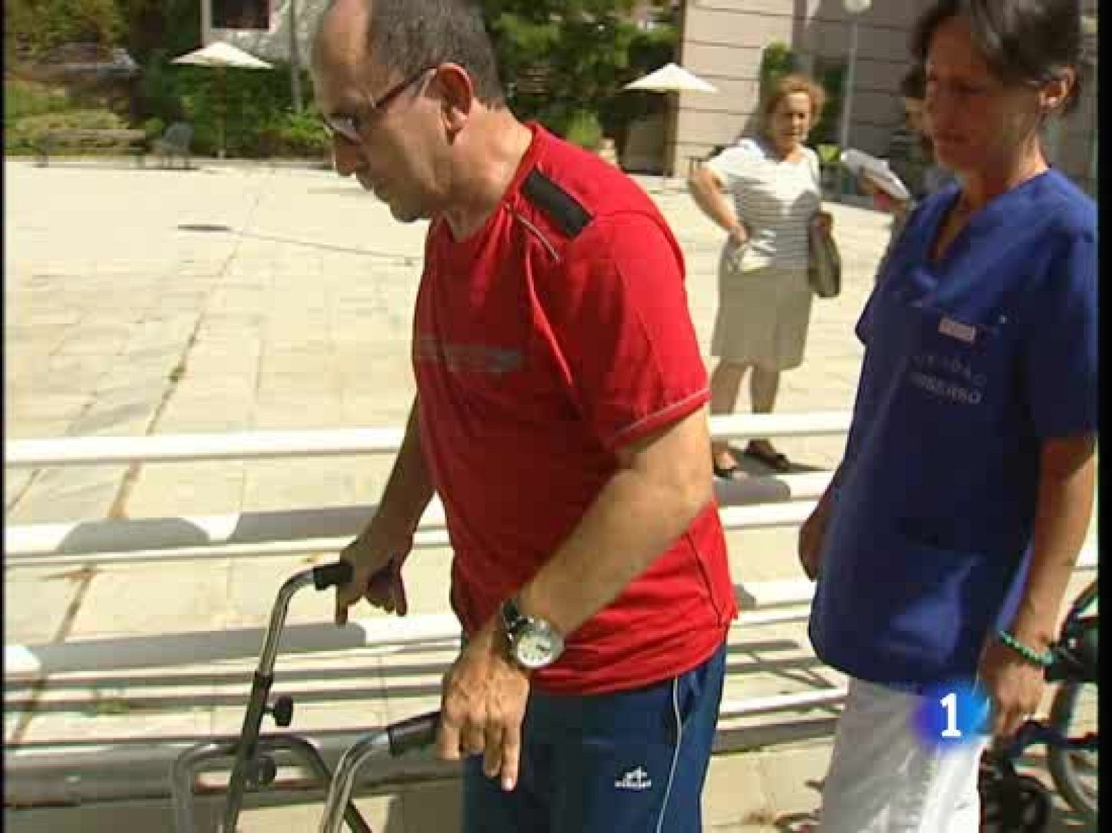 Unas 800.000 personas en España son alérgicas a las picaduras de las avispas y las abejas - Ciencia y tecnología en Rtve.es | Ver