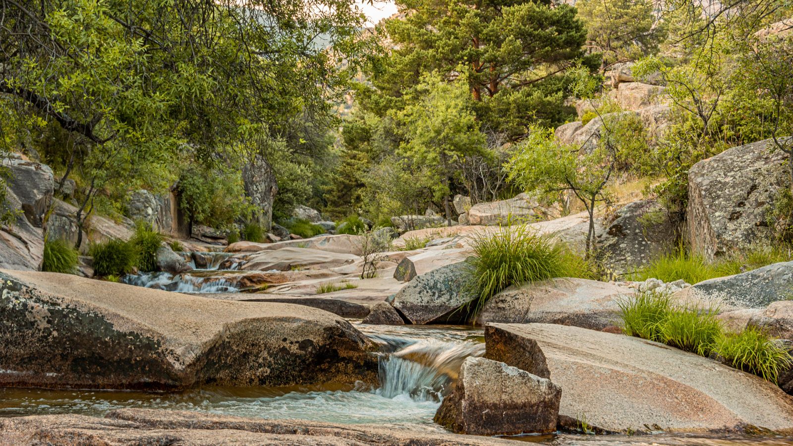 En la mayor parte del país se espera que predominen cielos poco nubosos o despejados