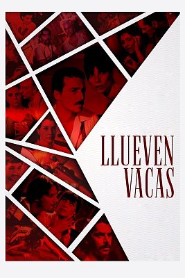 Llueven vacas