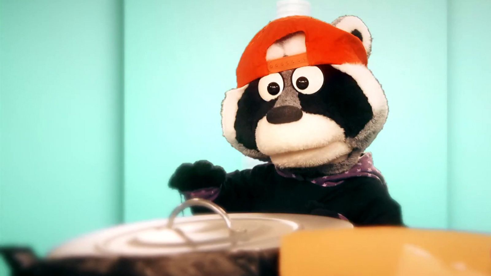 Aprendemos en Clan - 'Está mapachando'...Mapache recogebasuras y mucho más - RTVE.es - Aprendemos en Clan | Ver