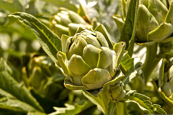 Aquí la Tierra - Lo mejor para un buen pintxo bilbaíno