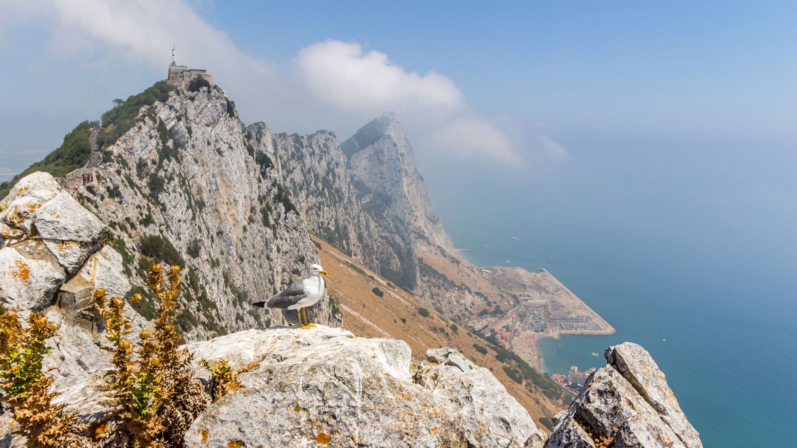 Viento fuerte o con intervalos de fuerte en el bajo Ebro, Ampurdán, Menorca y Estrecho