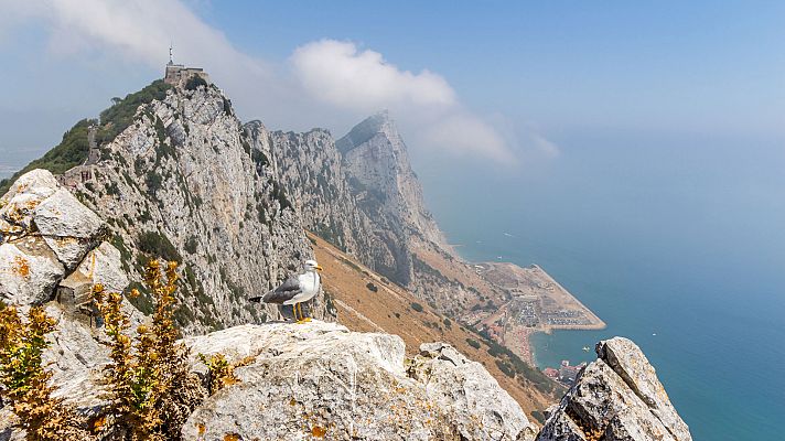 El tiempo - Viento fuerte o con intervalos de fuerte en el bajo Ebro, Ampurdán, Menorca y Estrecho