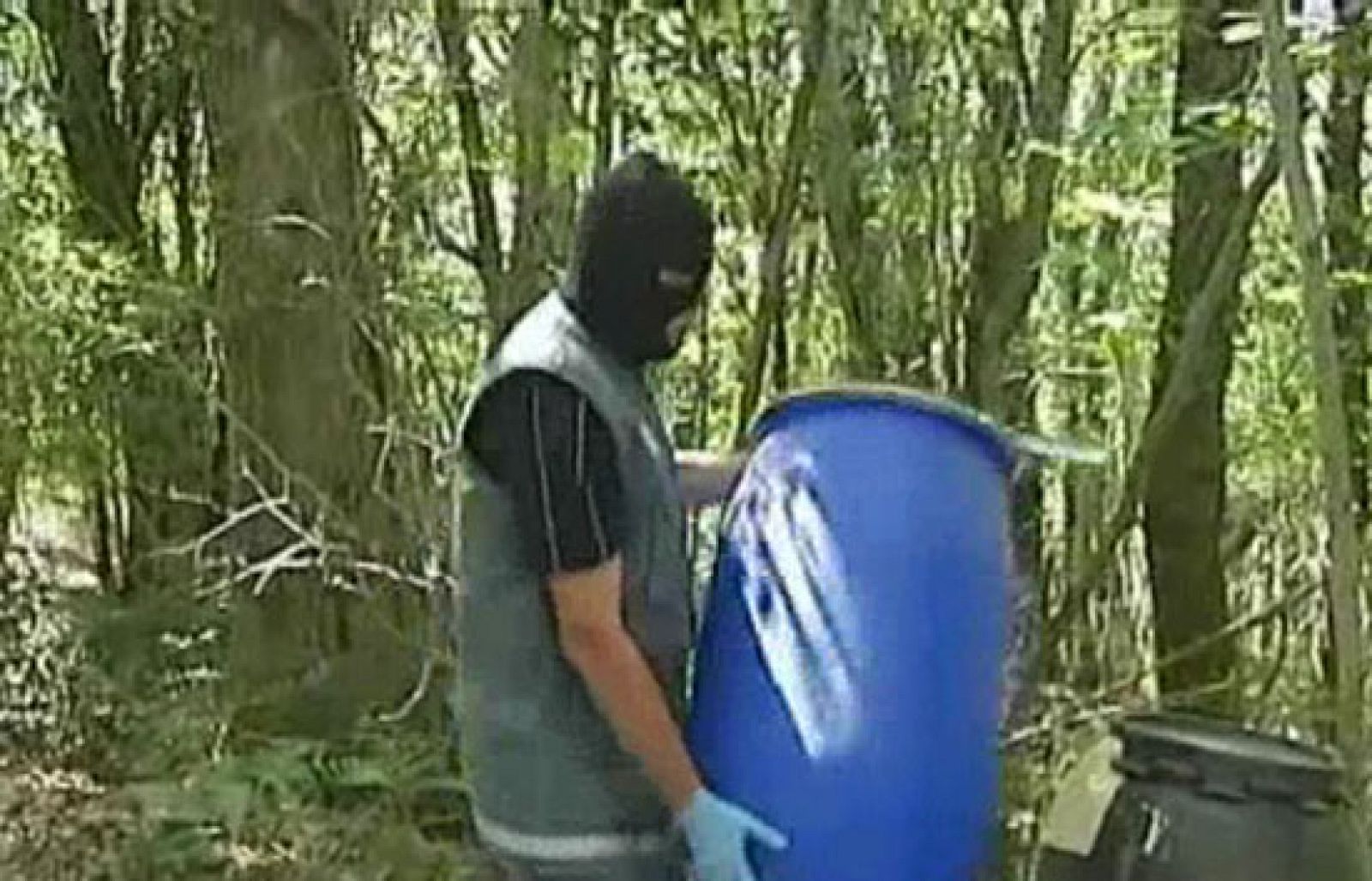 Las mejores imágenes del Telediariio 2ª Edición, en cuatro minutos.