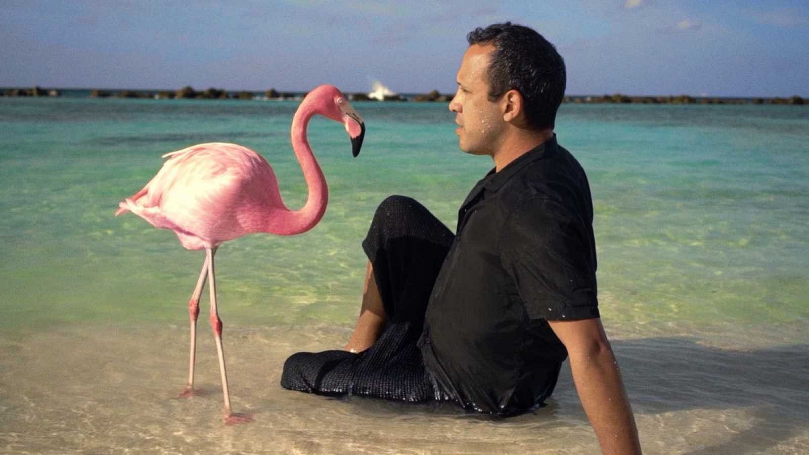 Documentales: 'The mystery of the pink flamingo' y 'Anatomía de un dandy'