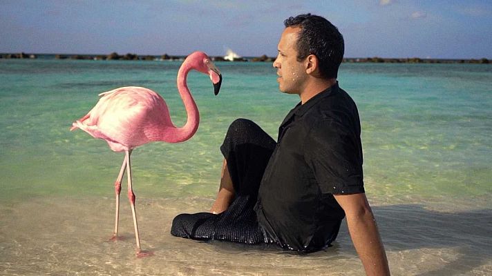 Días de cine - Documentales: 'The mystery of the pink flamingo' y 'Anatomía de un dandy'