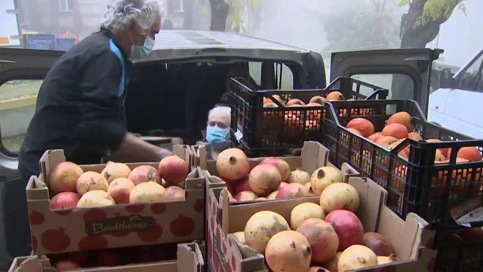 Agrosfera - 21/11/20 - ver ahora