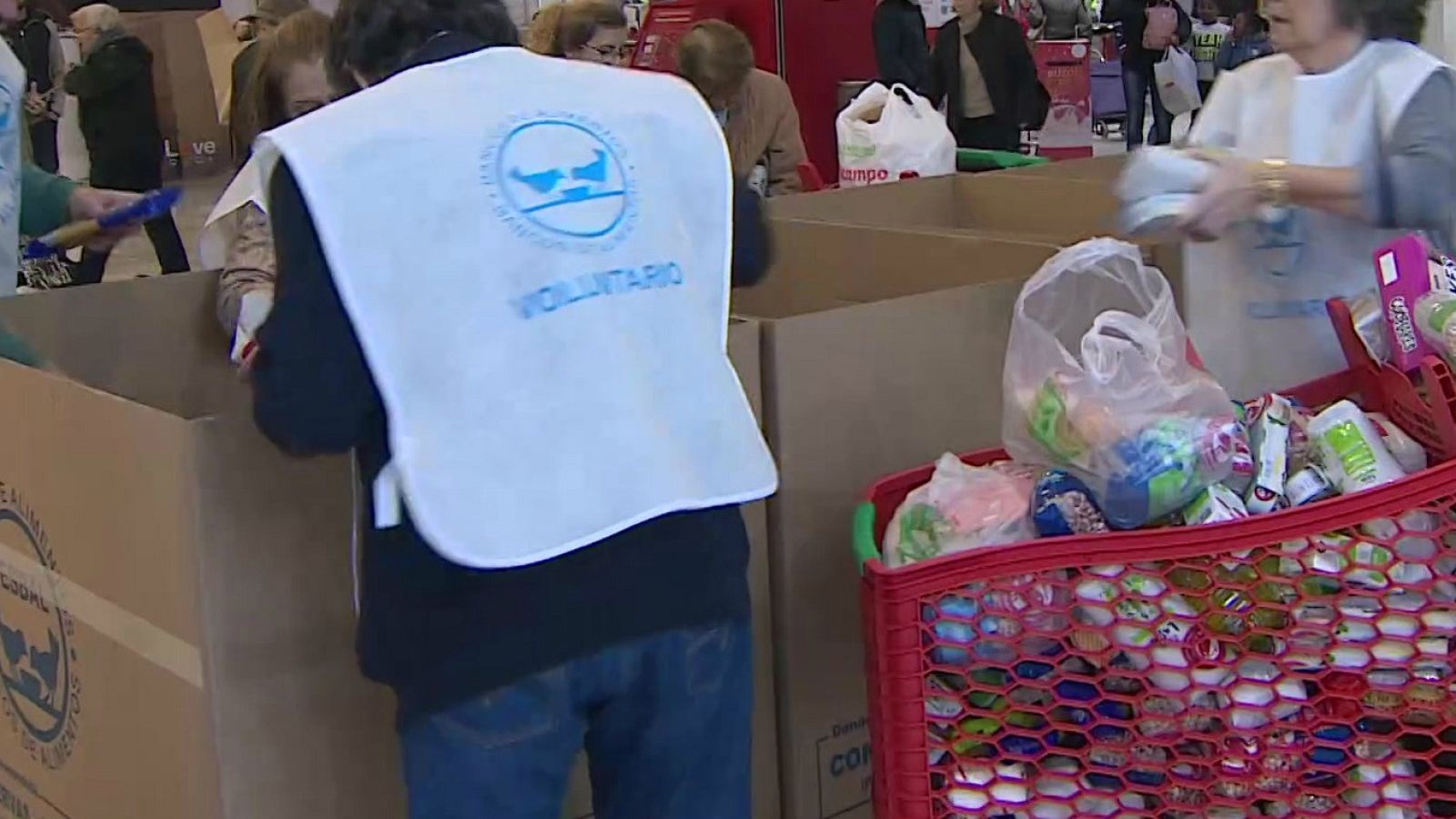 El coronavirus hace que la Gran Recogida de Alimentos 2020 sea más virtual | Ver