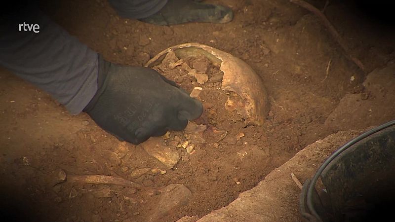 Informe Semanal - 21/11/20