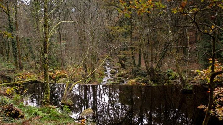 El tiempo - Temperaturas sin cambios, heladas débiles en el norte y cielos despejados